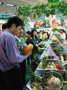 哪些食品被称为绿色食品