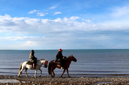 武汉到青海旅游注意事项(湖北至青海湖旅游指南武汉至青海湖最佳路线)