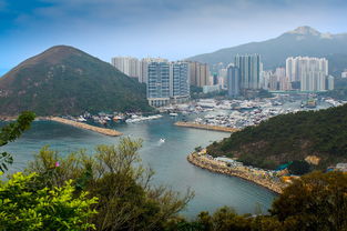深圳香港同城生活：每天往返香港，住在深圳真的可行吗？