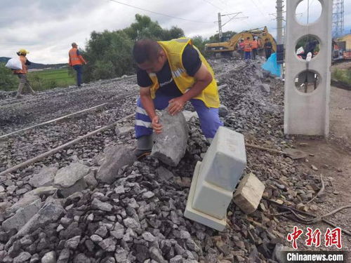 滨绥铁路 抗水害抢修电缆进行时