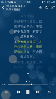 我说过要带你回家,回家见我的爸妈 牵着你手看烟花,有你才是我的家 不要再为我哭泣,在我心里无人替 