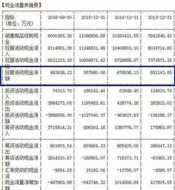 风险投资在企业财务报表中是怎么体现的呢？股东持股数么？