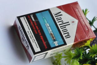 探索免税香烟直销批发市场批发与零售 - 5 - 635香烟网