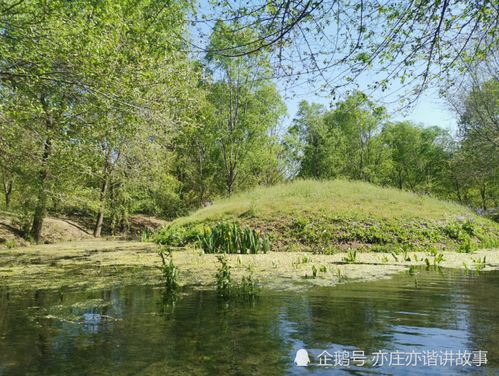 辽南五一节冷知识(辽宁五一节适合去哪里旅游)(辽宁五一景点)