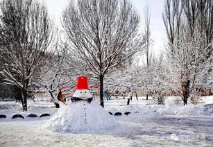 孩子们,让我们在雪地里撒点野 