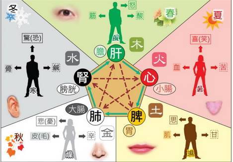 上海风水大师秦阳明分析身体各种疾病和家居风水关系