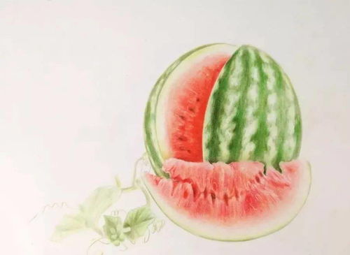 怎么画一个香甜可口的彩铅西瓜