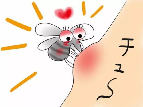 烦人的蚊子声和痒痒包 为啥你的蚊子包比别人更痒