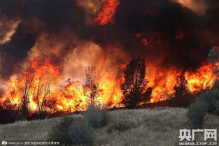 美国加州大火吞噬超60000英亩土地