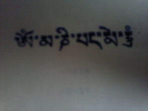 谁知道藏文 吉祥如意 怎么写,能贴出来不 