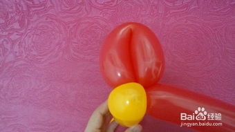 如何用普通气球制作魔法五瓣花