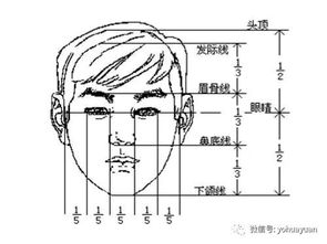 油画人物,必备知识点