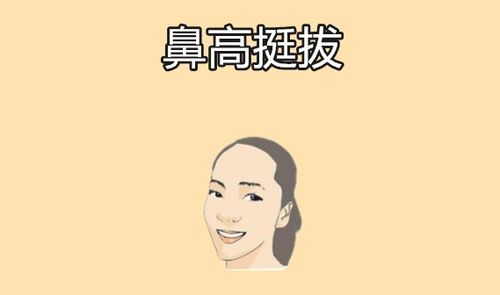 女人四种 妨夫 鼻,婚后不安生,花钱大手败家,刻薄不孝顺 面相 