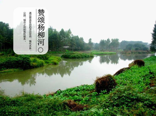 生态建设的重点,河道治理少不了 内附精选河道治理方案文本