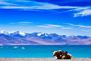 青藏线旅游景点