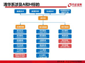 十大数字资产交易平台,bitradx数字交易平台