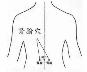 肺是秋天的第一道防线,养肺是秋天的大事