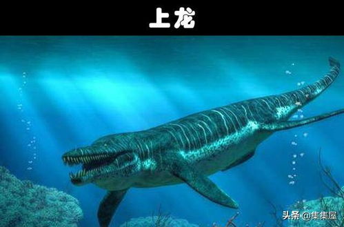 比巨齿鲨还要更加可怕的10个史前生物
