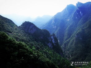 重庆武陵山