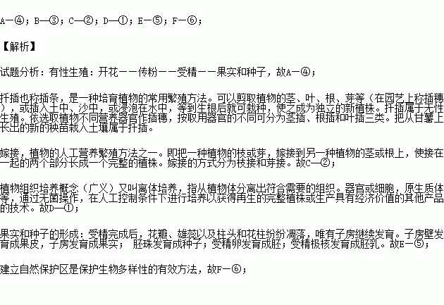 将下列左右相关的内容连线 题目和参考答案 青夏教育精英家教网 