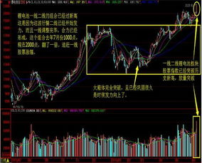 为什么有的股票一年翻一倍有的一直破新低