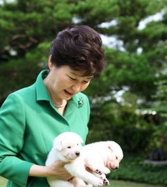 朴槿惠脸书发与爱犬亲密合影 取名 和平 和 统一 