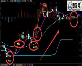 大智慧 通达信 同花顺 哪个好？都下载那个版本的？