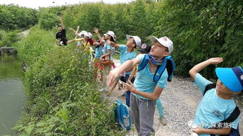 生活常识幼儿户外(幼儿园生活活动及户外活动注意事项)