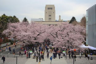 大学日本留学(大学应该怎么申请)