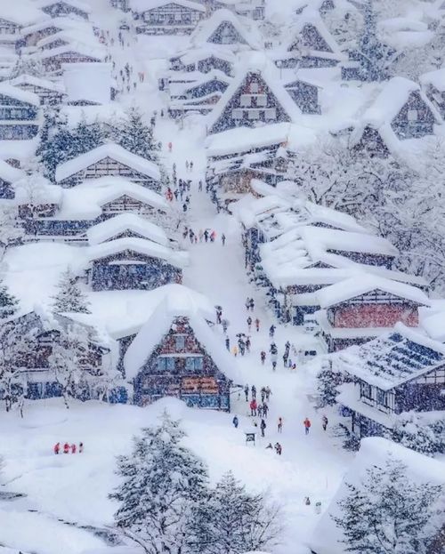 描写雪后景色优美的句子