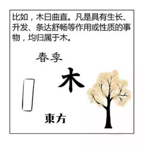 为什么是 阴阳五行 而不 是阴阳四行 阴阳六行