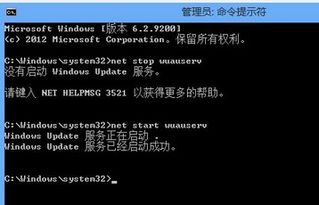 win10安装密钥时错误代码