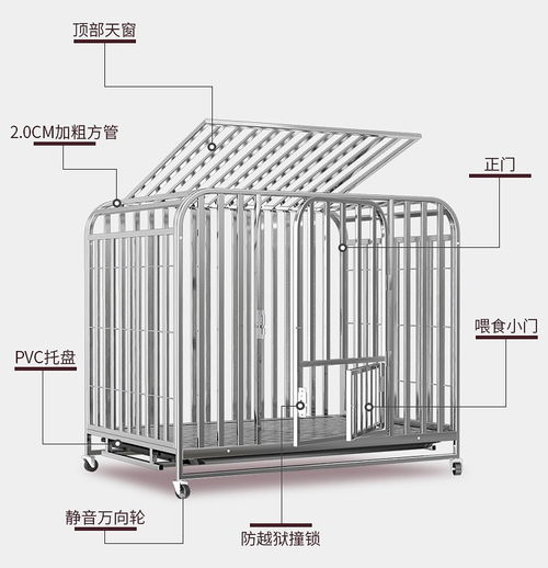 ps怎样给图片标注尺寸 