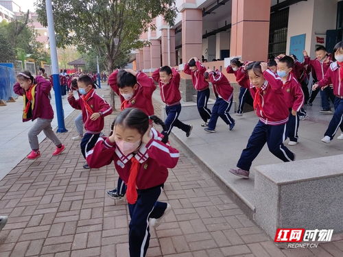 岳阳市白杨坡小学和朝阳小学哪个好(岳阳市朝阳小学停车场收费标准)