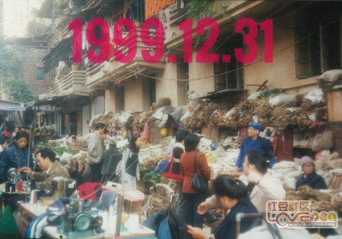 河东这二十年 1999 2009 