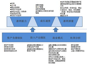 如何查询股票的财务数据