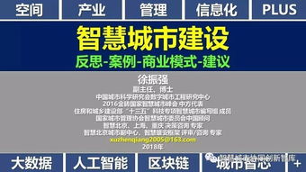 PPT 徐振强 智慧城市建设应反思并加强案例学习 