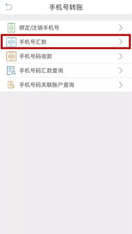 关于 手机号码 转账,你想知道的都在这里 