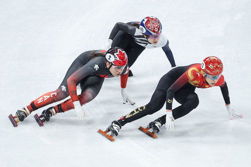 冬奥短道速滑项目素材图2022年北京冬奥会考点有哪些 