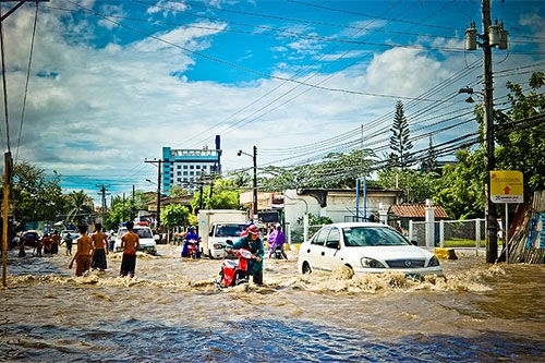 梦见地面有水是什么意思 大鱼解梦网 