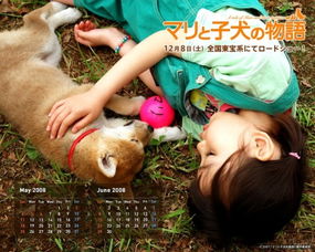 一部日本电影讲述一个小女孩和一群狗狗在地震后感人故事请问这个电影名字叫啥 