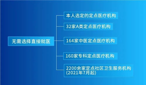 轻松掌握维普查重查询技巧