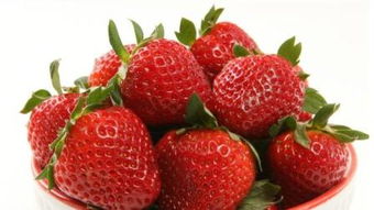草莓是什么水果
