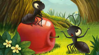 蚂蚁为什么搬不动的动西其他蚂蚁会帮忙