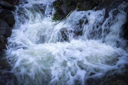 河里涨水水流特别湍急好钓鱼吗(河里涨水了好钓鲫鱼吗?)