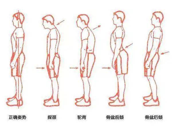 你有1份福利 U10组青少年射箭战队 招新啦 