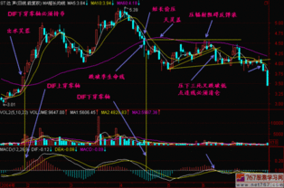 股票中的DIF是什么?