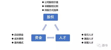 公司股权的关键点有哪些？