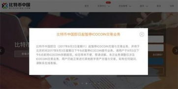 ico币是什么—ocoin币ico价格