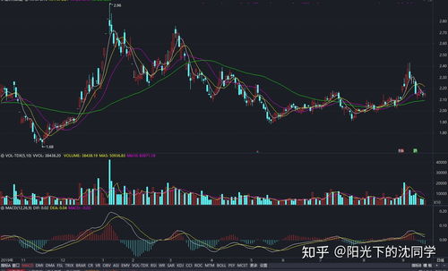 股票入门基本知识，新手必看初级股票入门讲解？